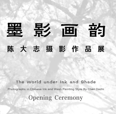 QQ截图20141119124831